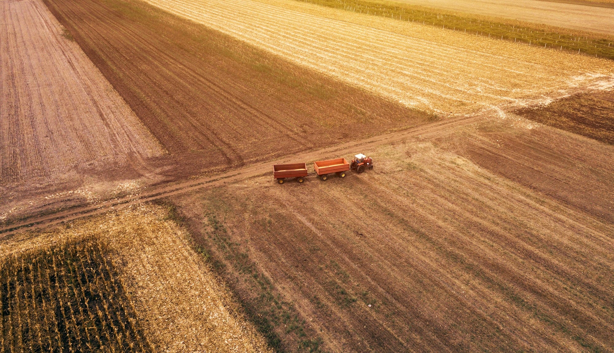 History Of Roundup Lawsuits in texas