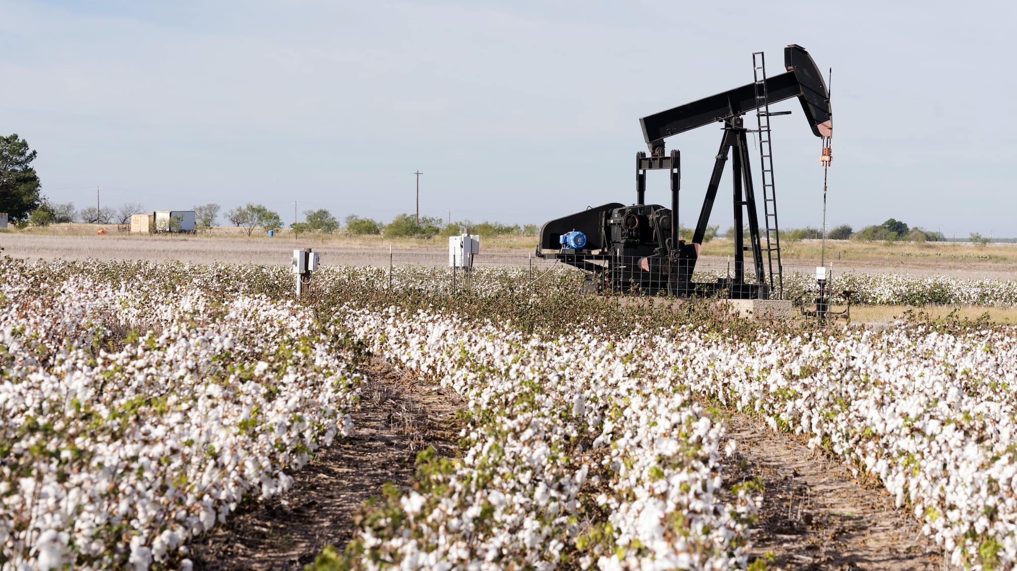 The Impact Of Roundup On Texas Agriculture